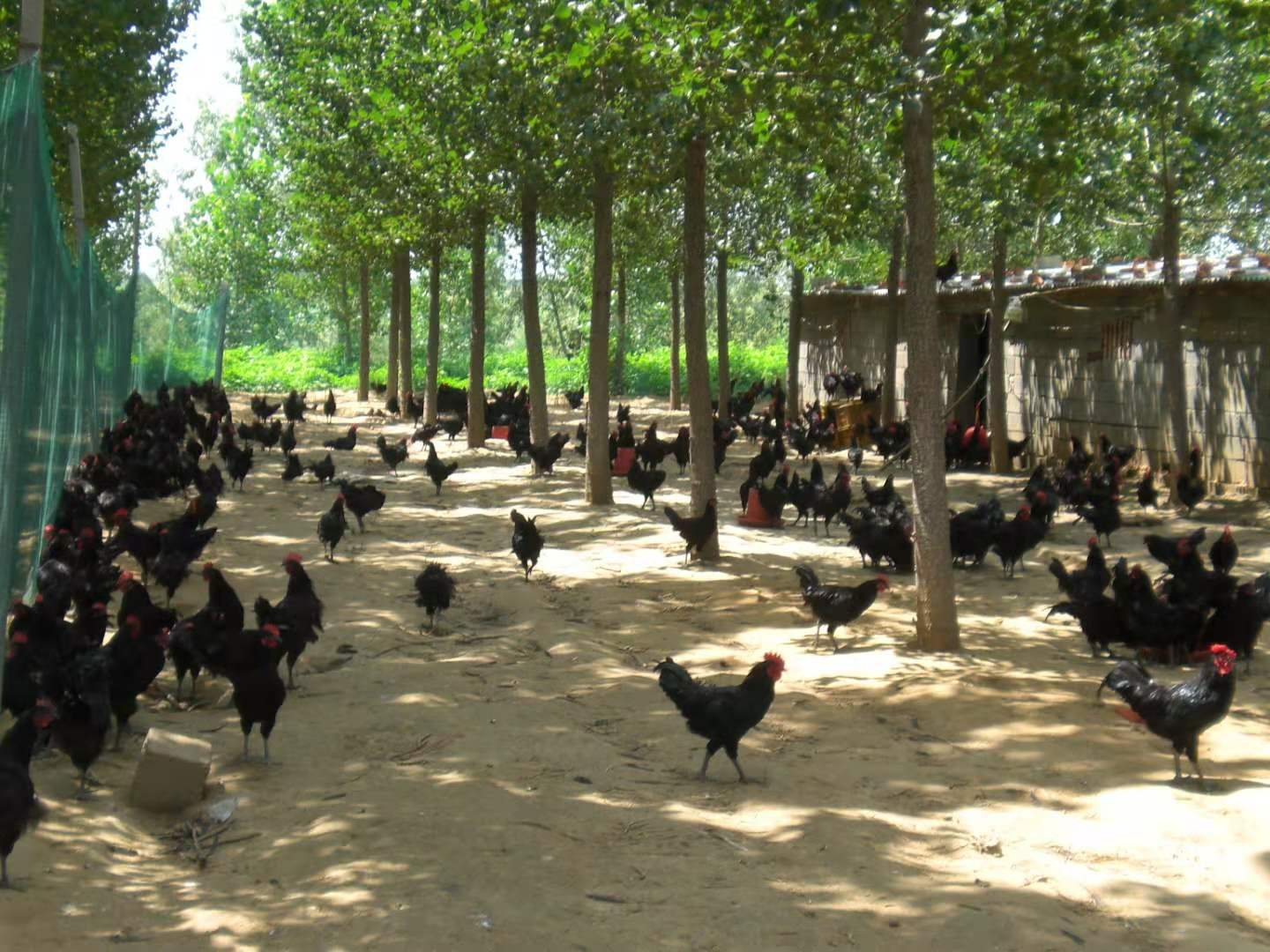 微信图片_20210506142814.jpg 微信图片_20210506142814.jpg