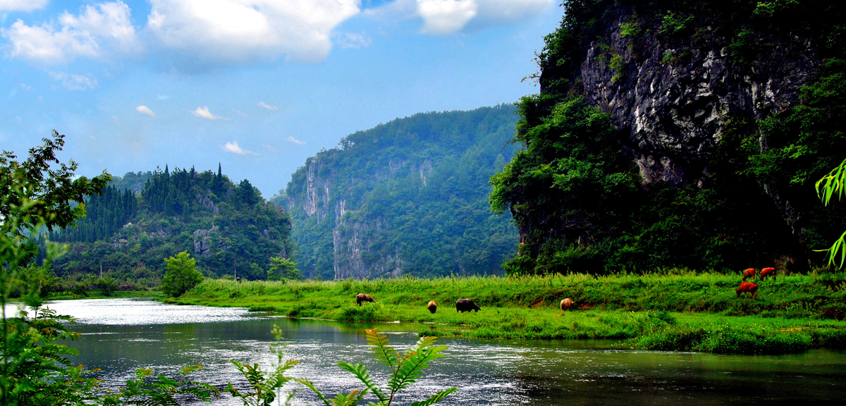 xpic1834.png xpic1834.png