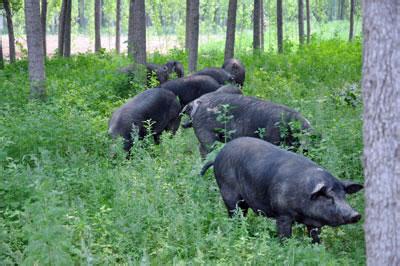 20170424105337_6406.jpg 20170424105337_6406.jpg