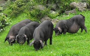 20170424110627_1093.jpg 20170424110627_1093.jpg